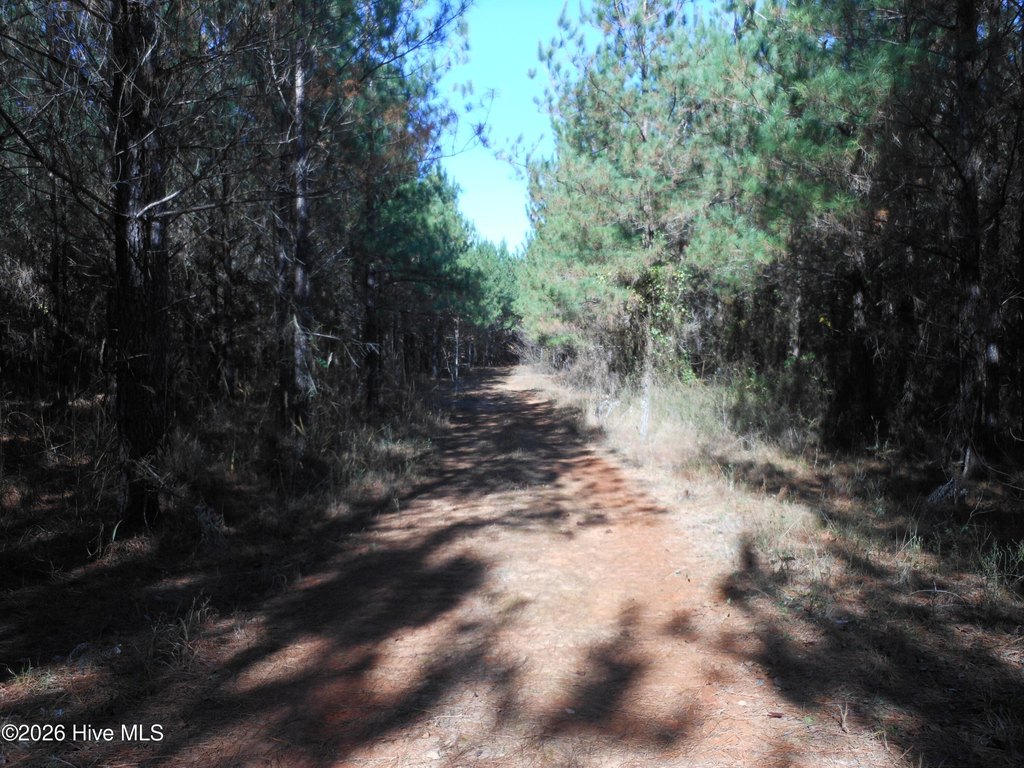 Picture 7
