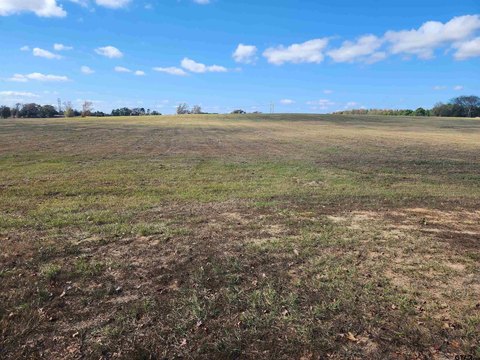20 Acres of Pasture Land