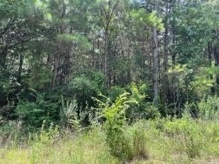 Land, Pittsburg, TX