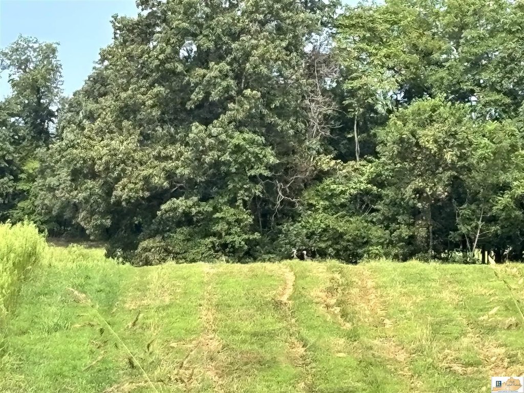 Picture 4