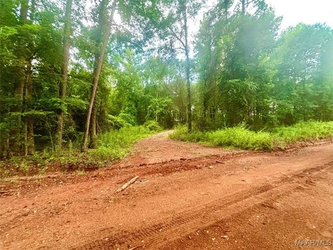 Residential Land Near Greenville, AL