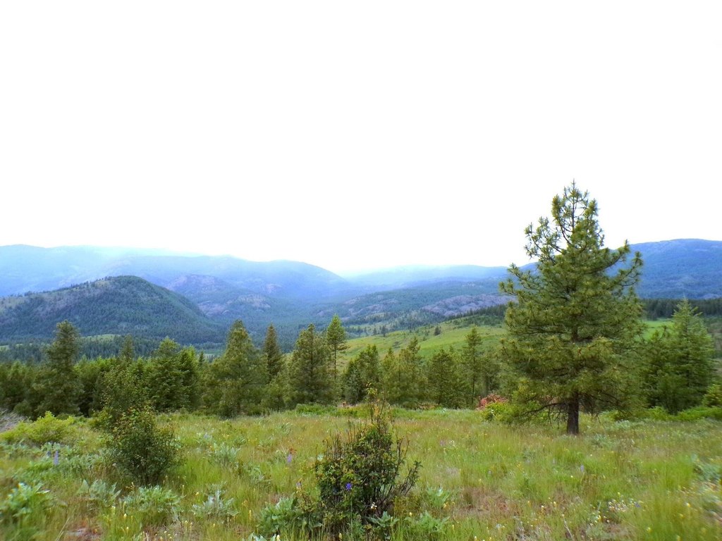 Picture 5