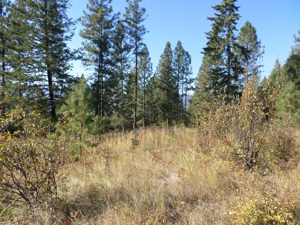 Picture 17