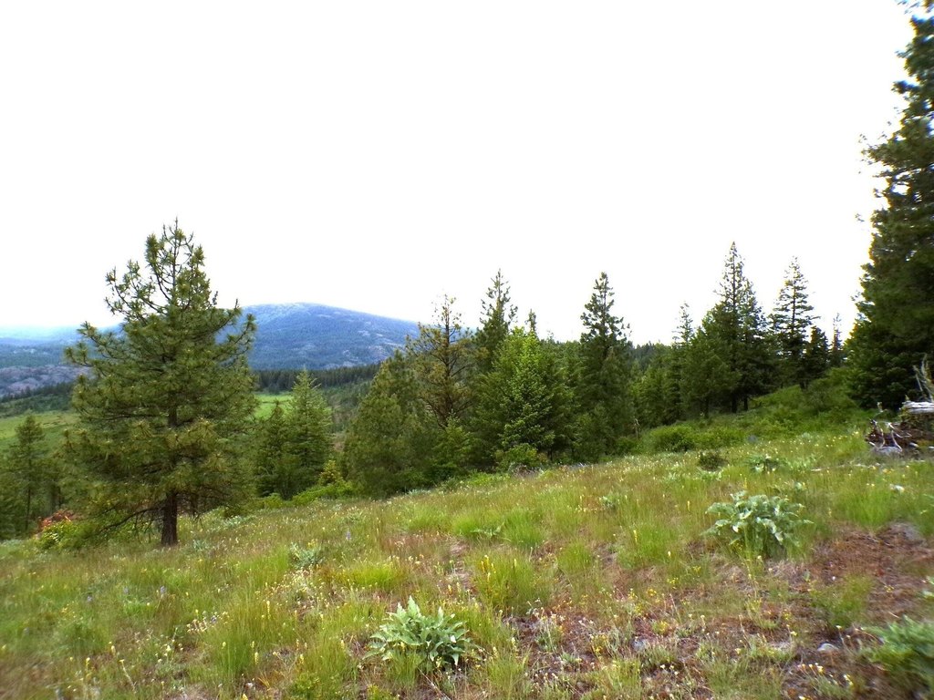 Picture 4