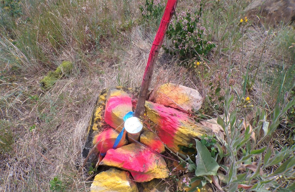 Picture 18