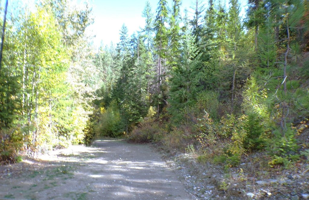 Picture 16