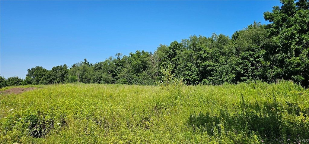 Picture 7
