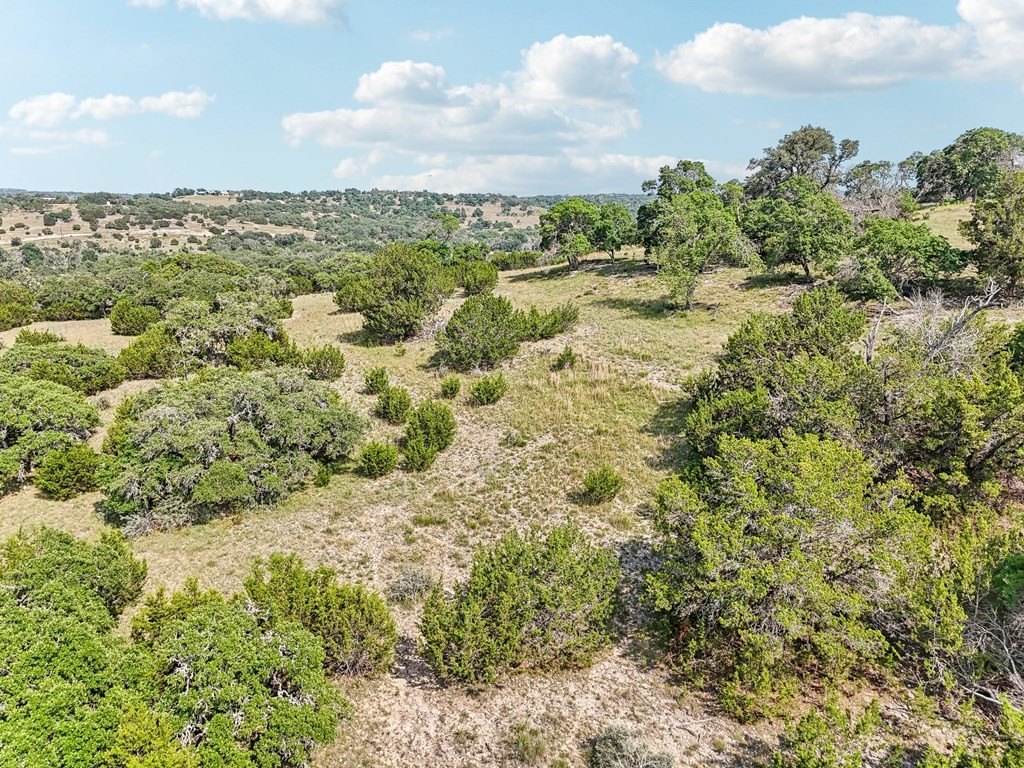 Picture 70