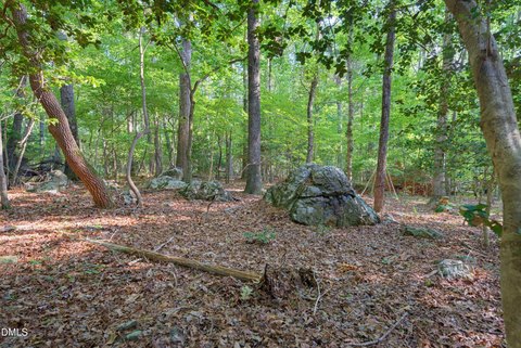 Land, Pittsboro, NC