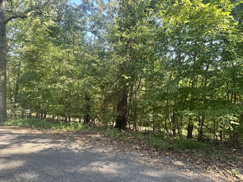 Land, Murray, KY