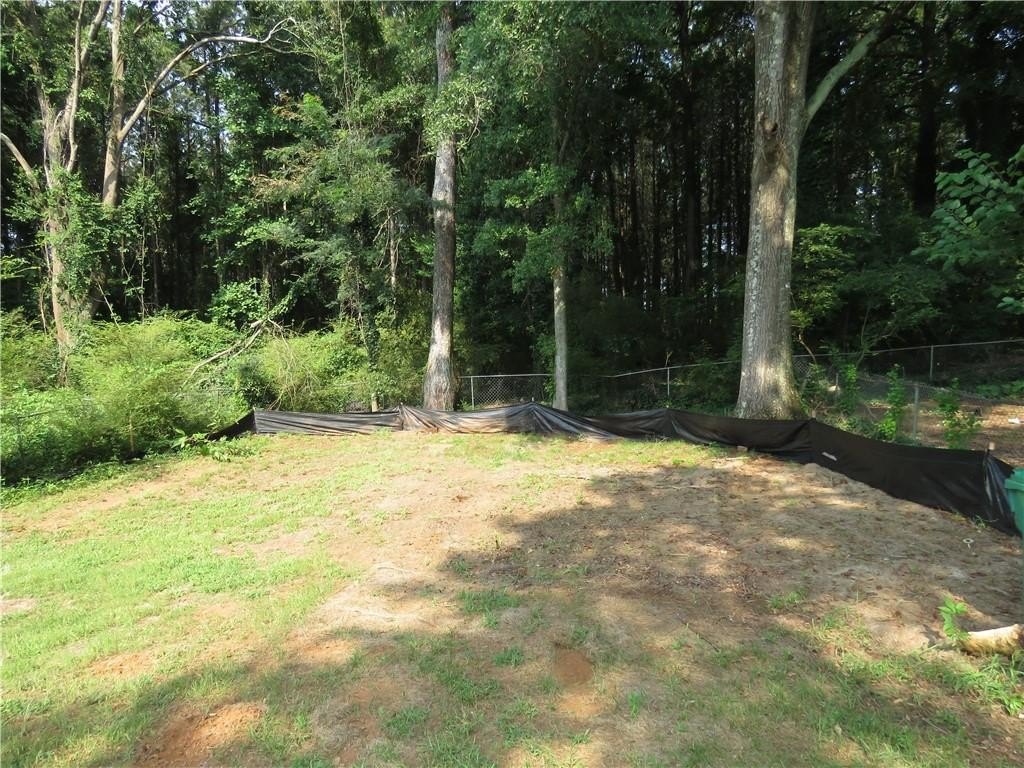 Picture 3