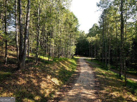 Land, Blairsville, GA