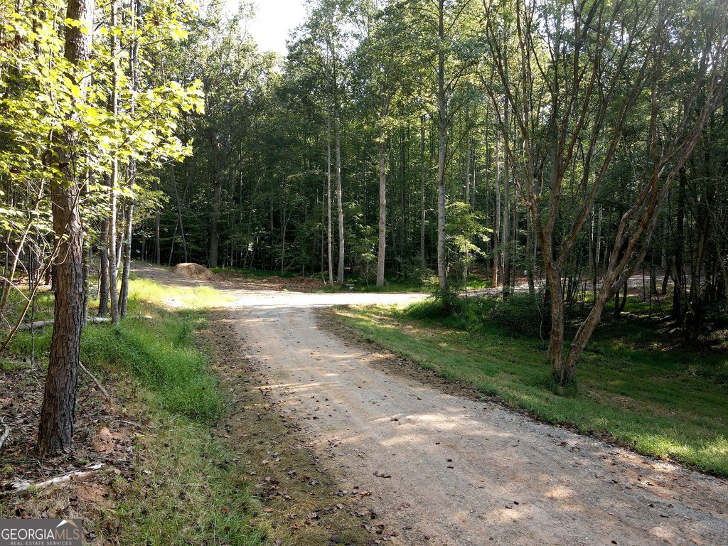 Picture 3