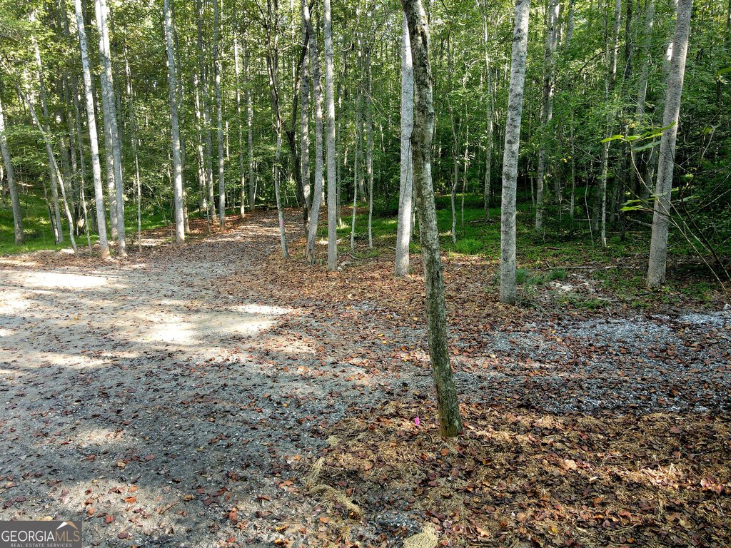 Picture 7