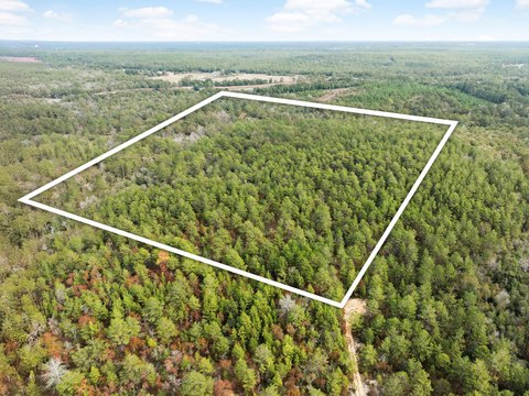 40 Acres in DeFuniak Springs