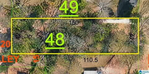 LAND/LOTS, ANNISTON, AL