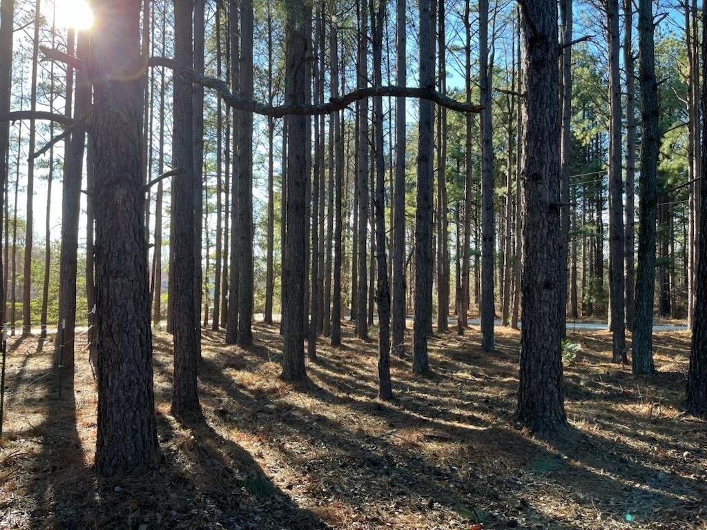 Picture 3