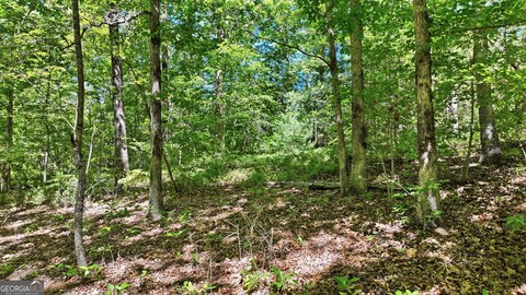 LAND - Clarkesville, GA