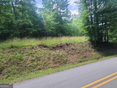 LAND - Clarkesville, GA