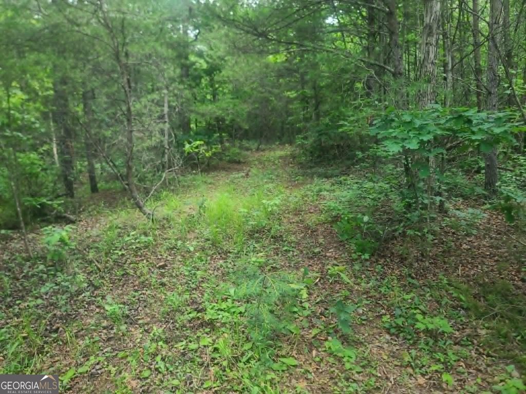 Picture 14