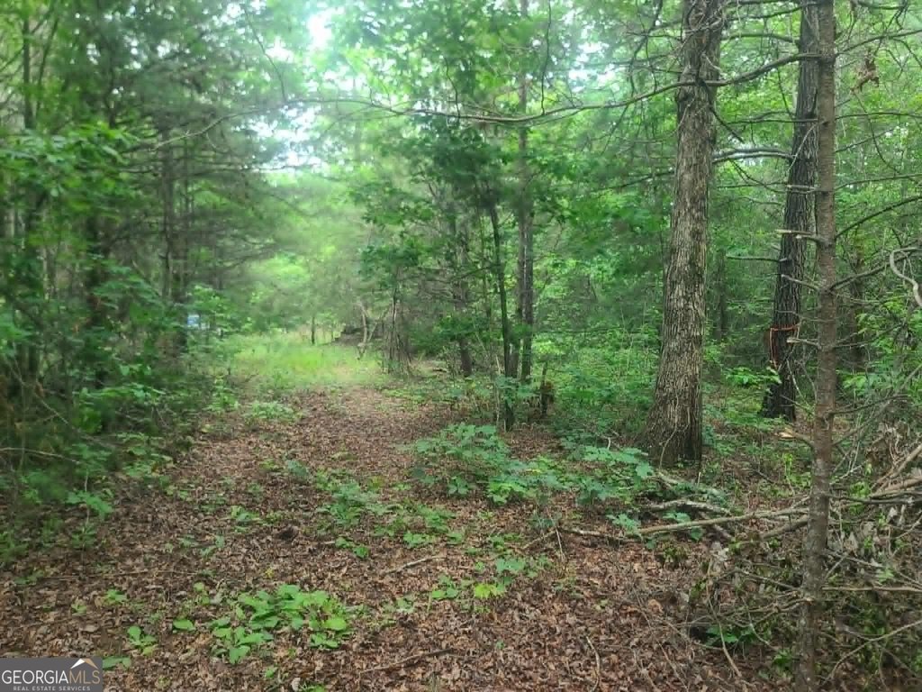 Picture 13