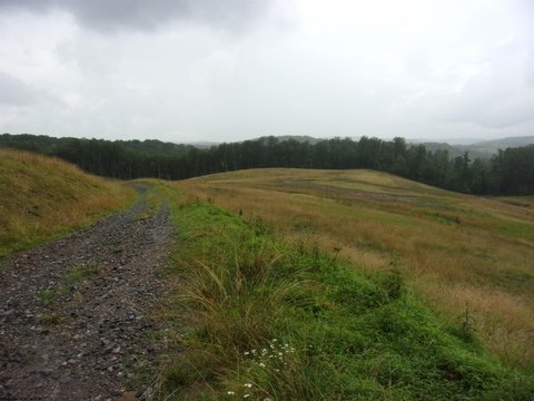 Lots/Land, Buckhannon, WV