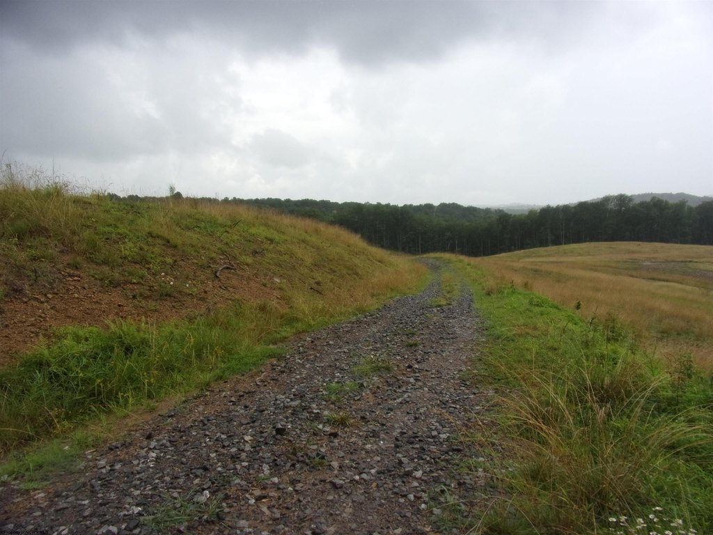 Picture 10