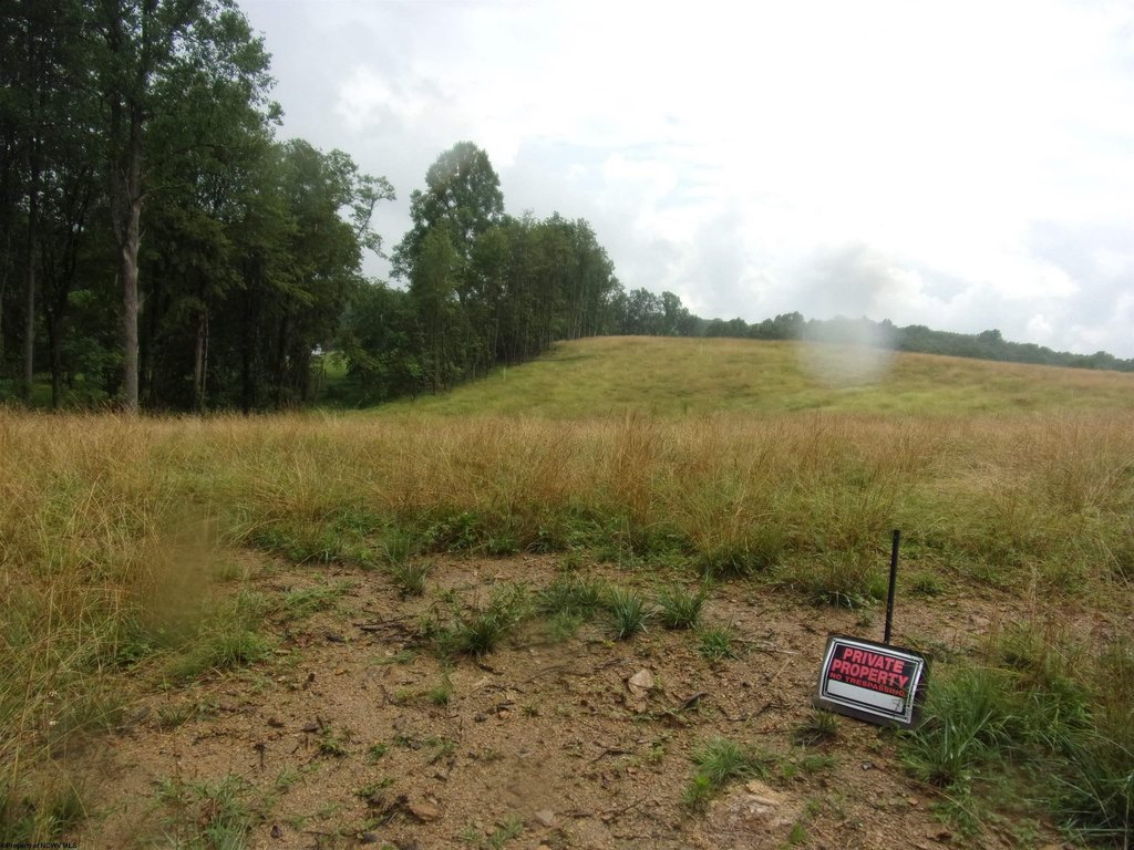 Picture 18