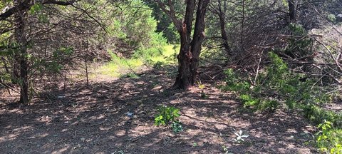 Land Near Navarro Lake