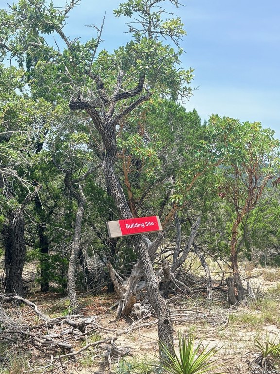 Picture 20