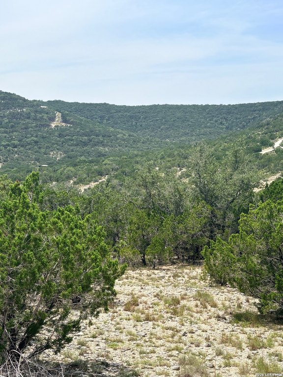 Picture 18