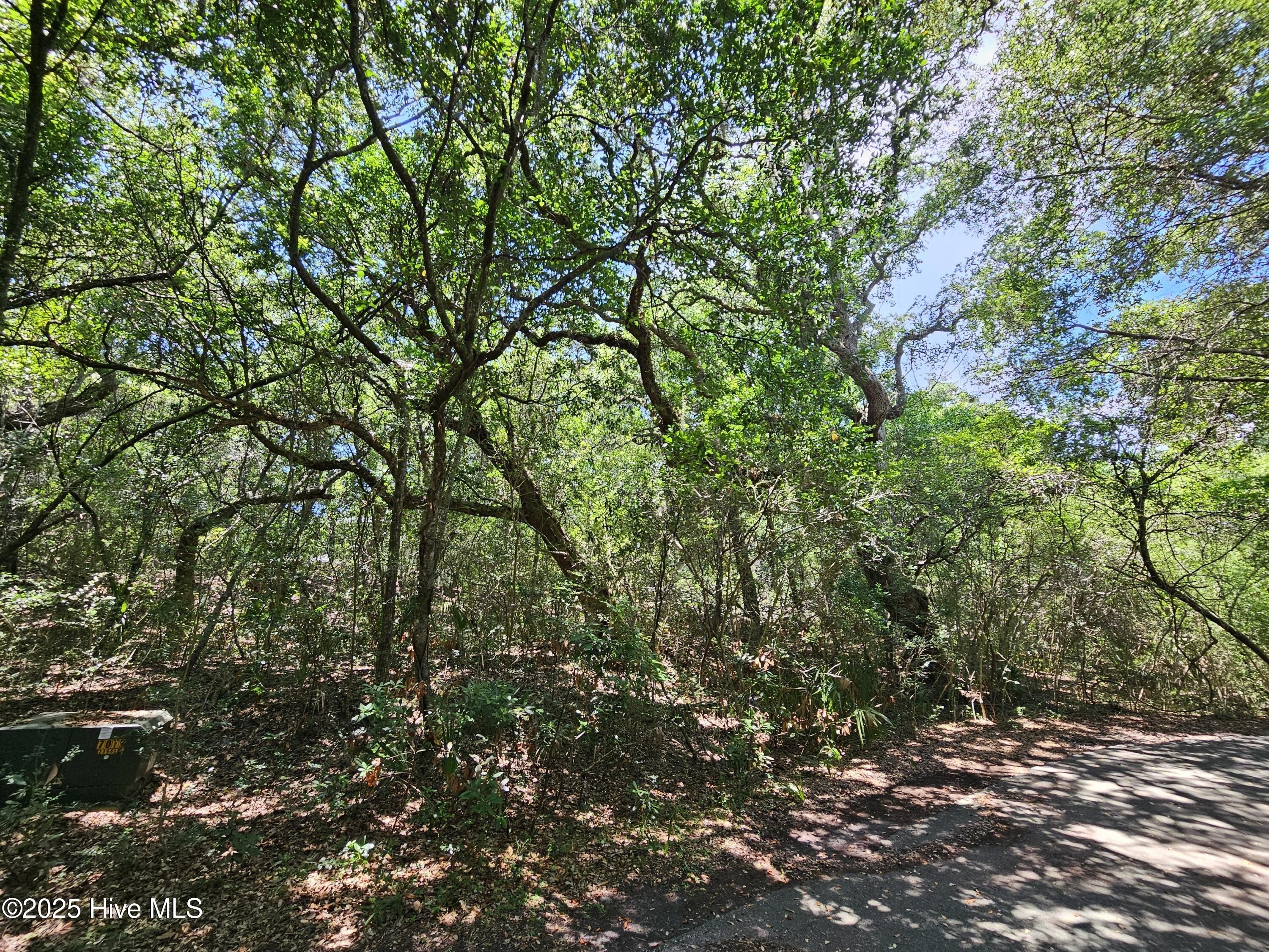 Secluded Homesite in Maritime Forest