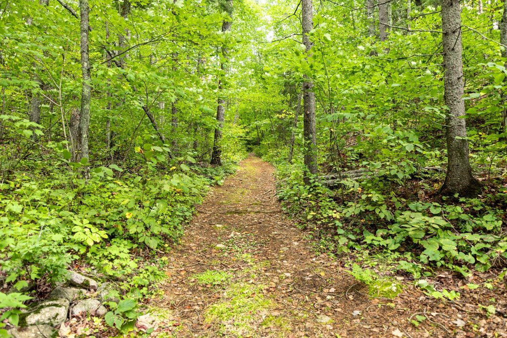 Picture 37