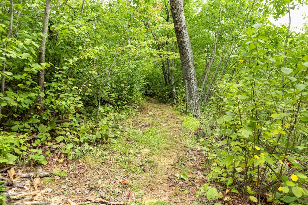 Picture 34