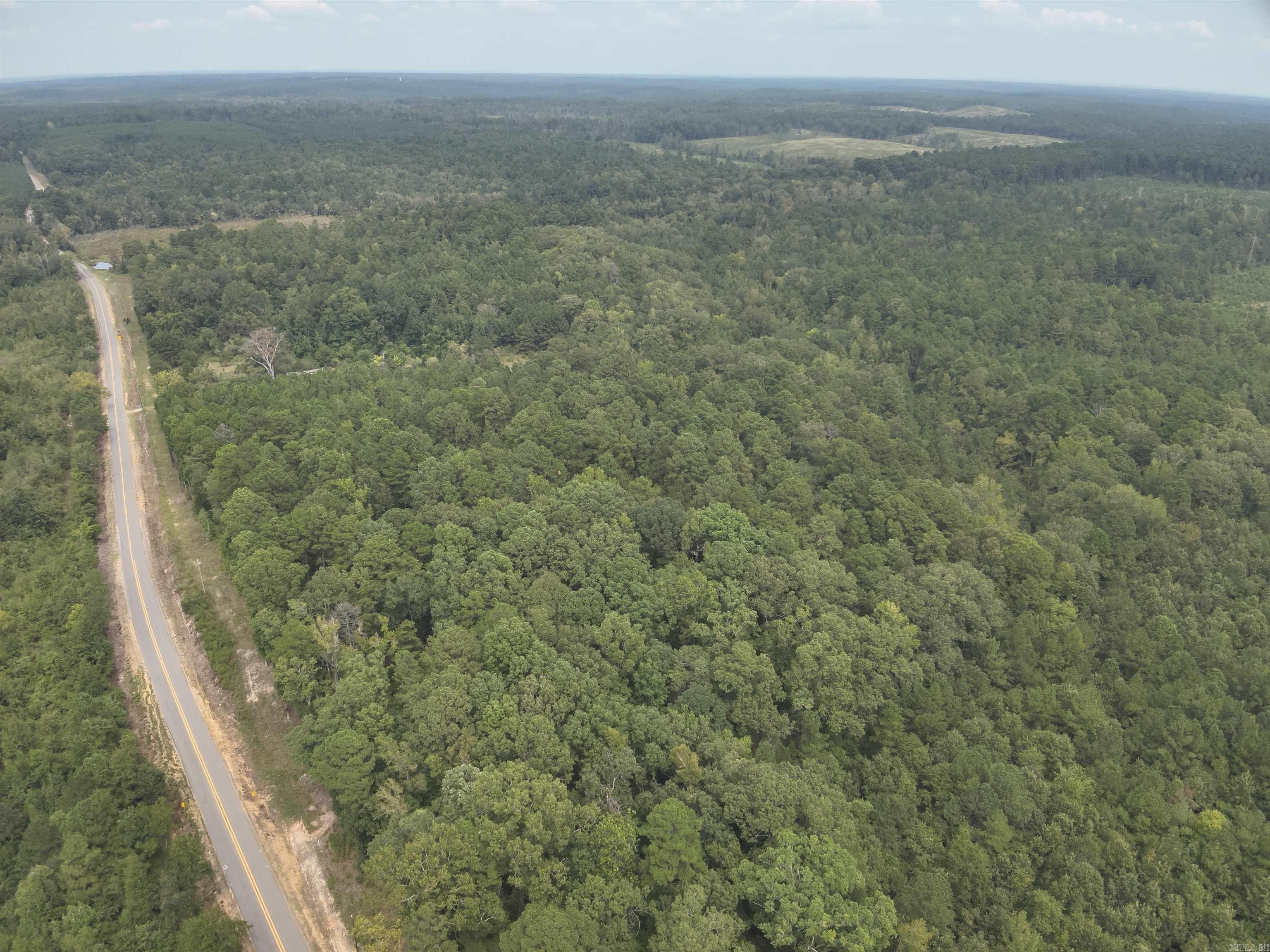 94.8 Acres Timberland Hunting Investment