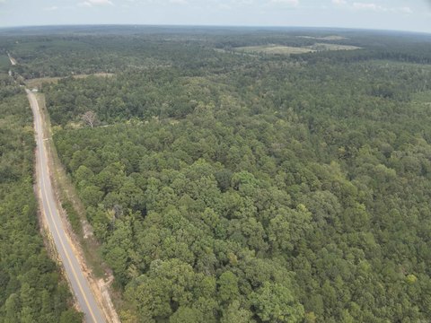 94.8 Acres Timberland Hunting Investment