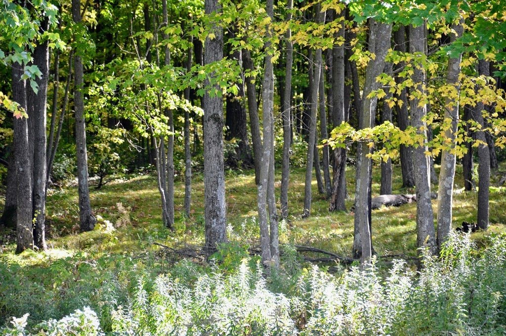 Picture 23