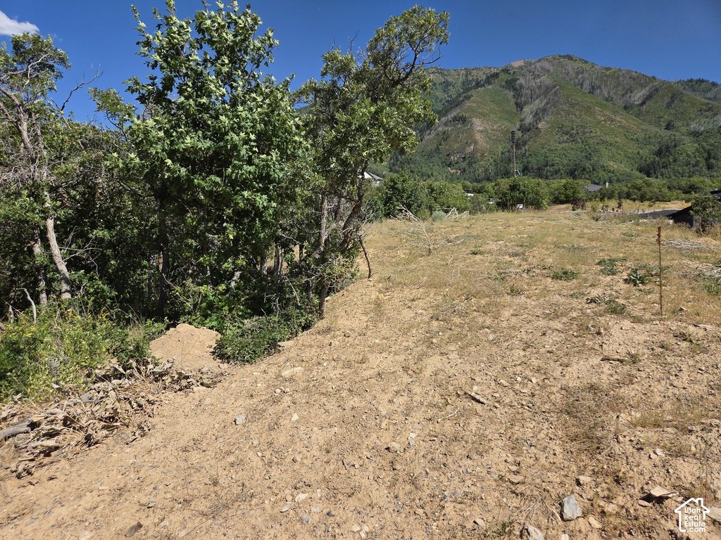 Picture 6