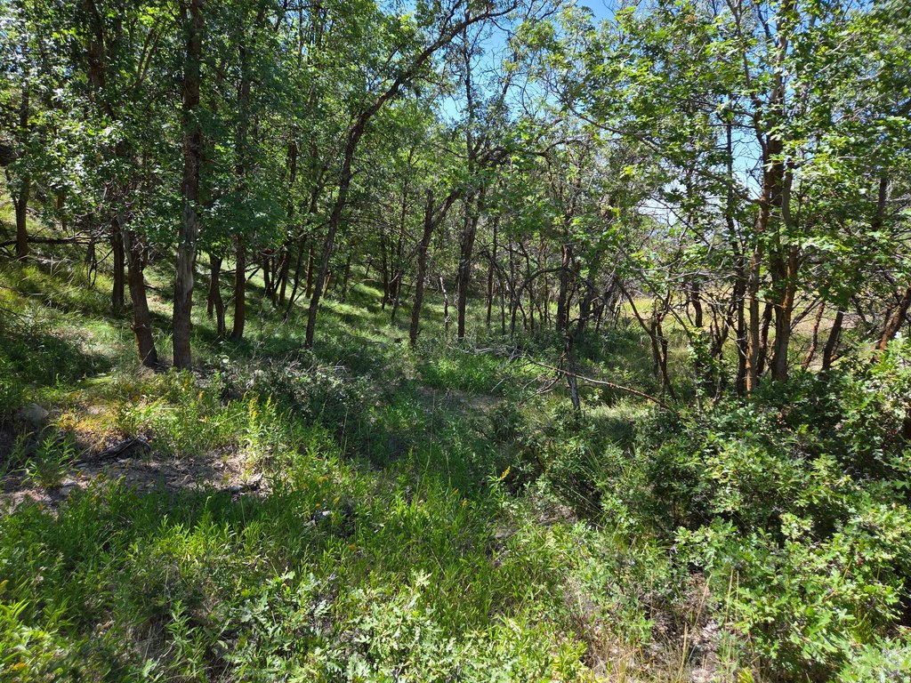 Picture 9