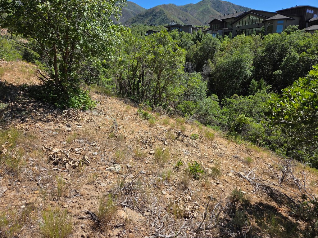 Picture 10