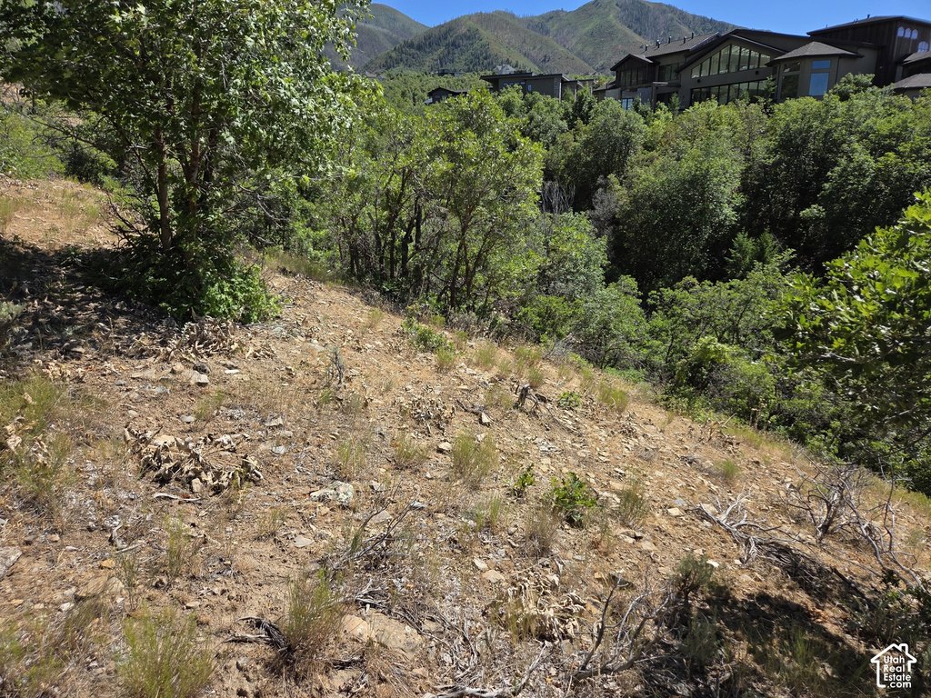 Picture 10