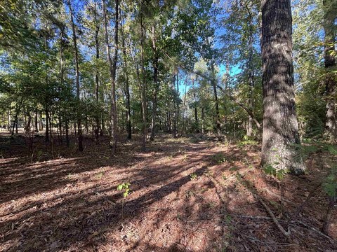 Residential Lot in Sheridan, AR