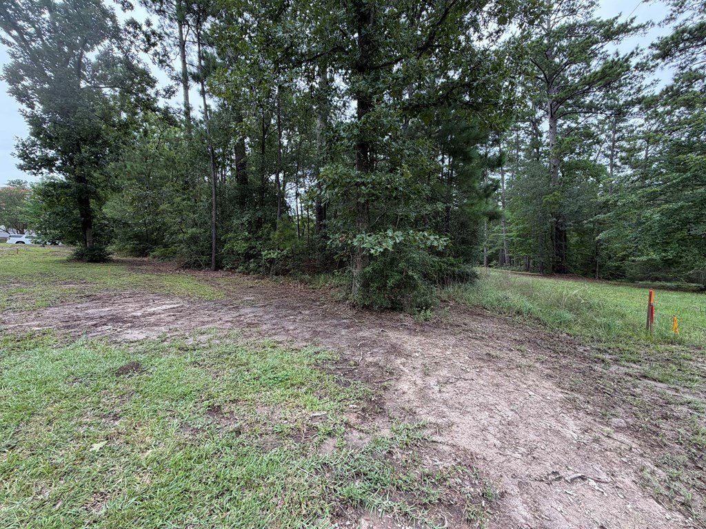Picture 6