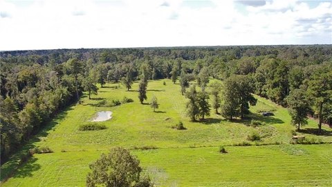 Land, Denham Springs, LA