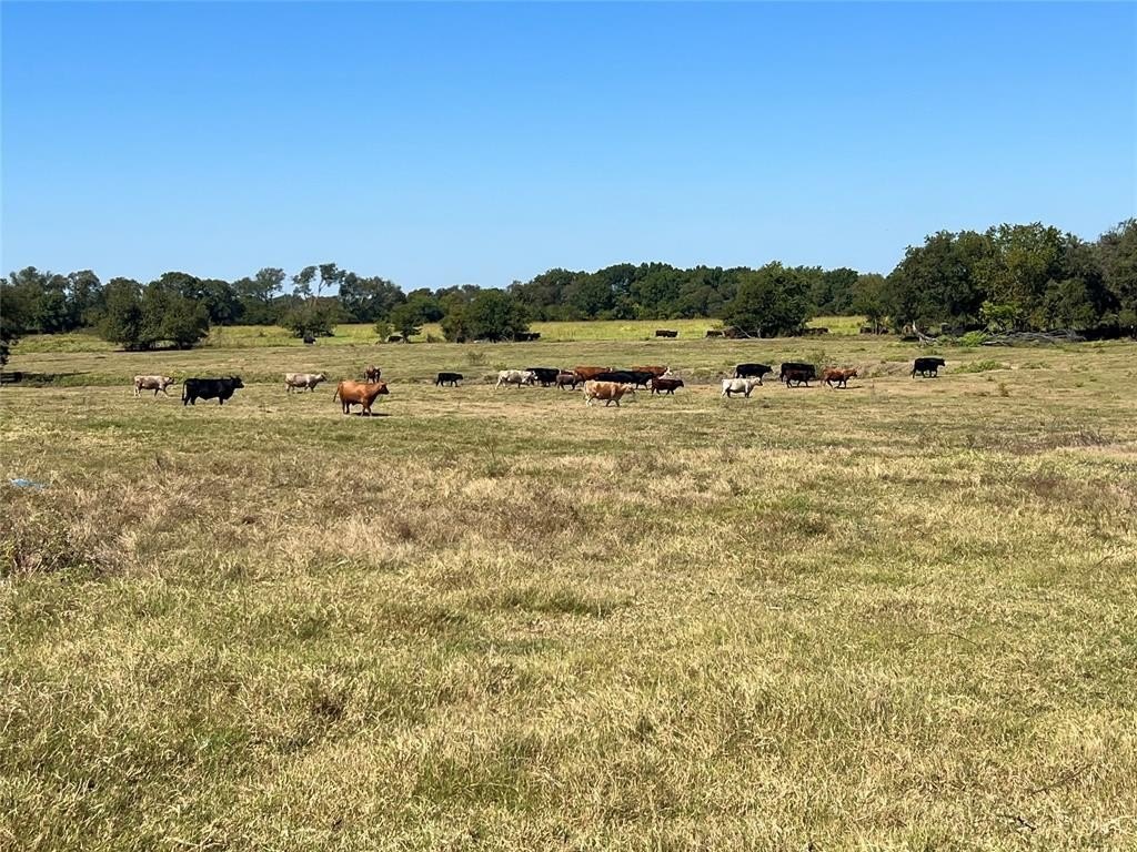 Expansive Milford Texas Estate