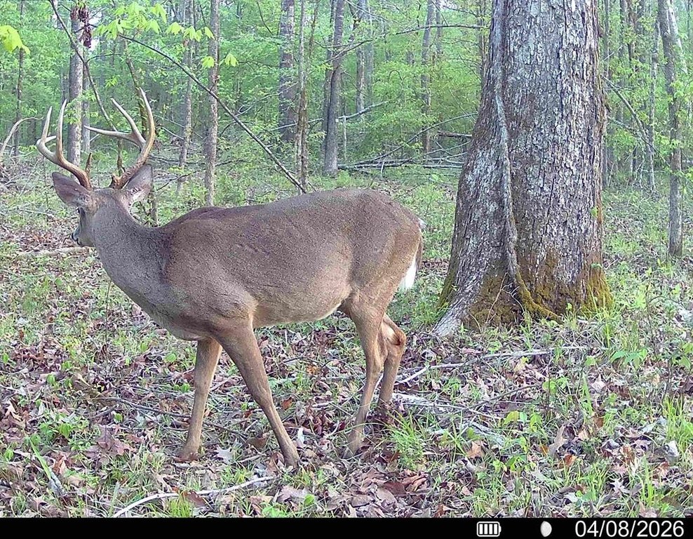 Picture 3