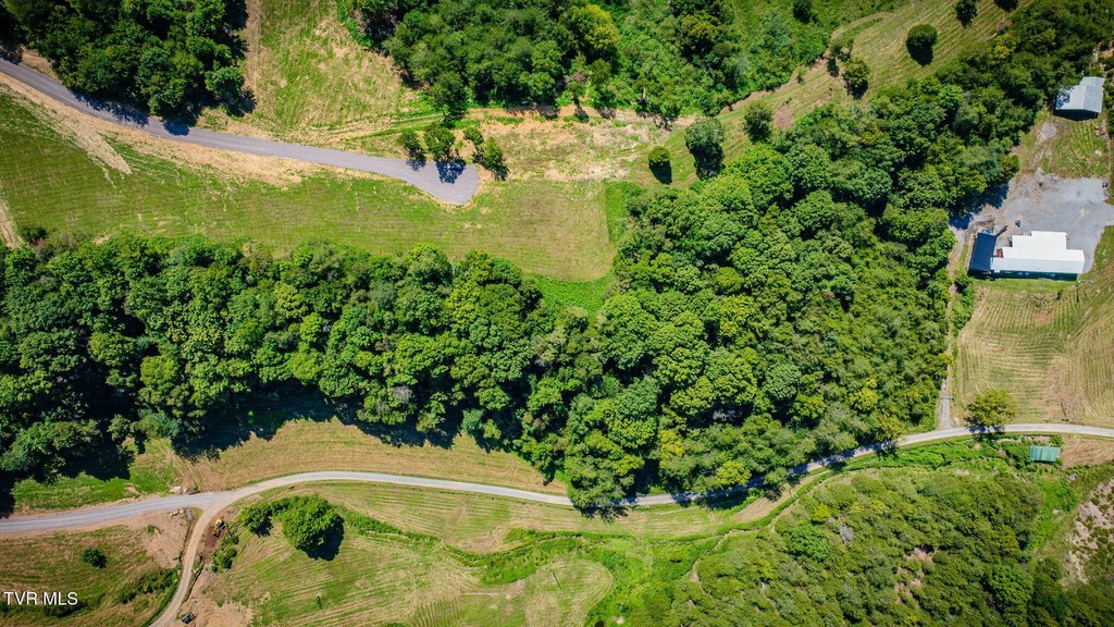 Picture 19
