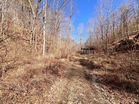 Salyersville Land with Mineral Rights