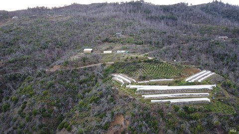Licensed Cannabis Farm Property
