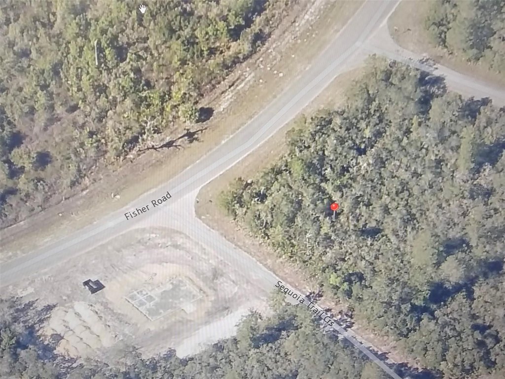 Picture 4